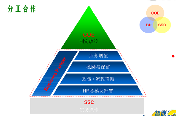 HRBP 从职能专家到业务伙伴的角色演进与价值定位