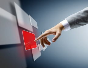 红包扫雷App开发与人力资源服务整合策略